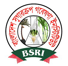BSRI